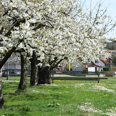 Schwehr