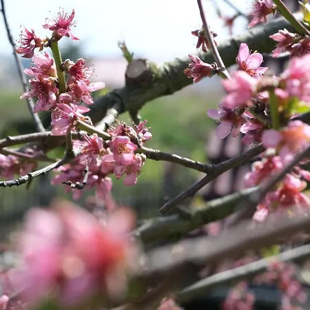 Village de vacances Schwehr *