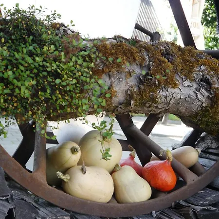 Schwehr Salem (Baden-Wurttemberg)