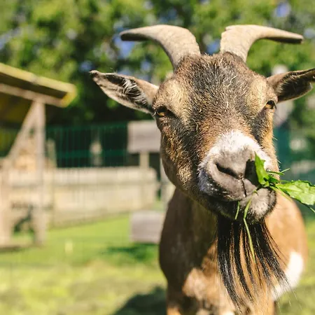 Village de vacances Schwehr