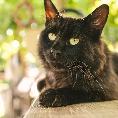 Village de vacances Schwehr Salem (Baden-Wurttemberg)