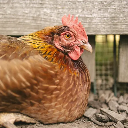 Schwehr Village de vacances