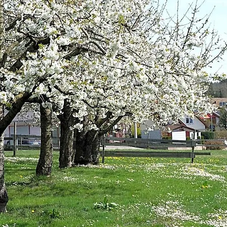 Schwehr