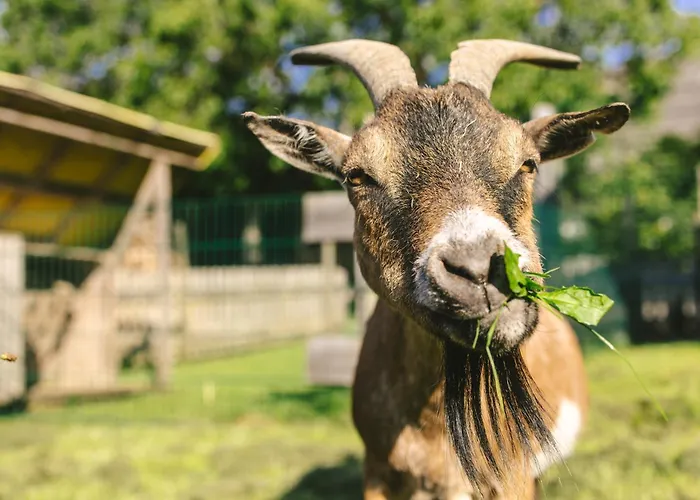 ホリデーパーク Schwehr