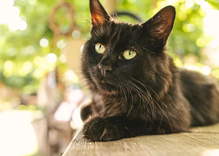 ホリデーパーク Schwehr ザーレム